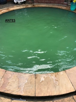 Limpeza de Piscina água Verde Preço Ibirapuera - Limpeza de Piscina Grande